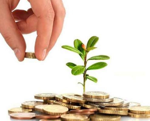 Nguyên tắc chia cổ tức