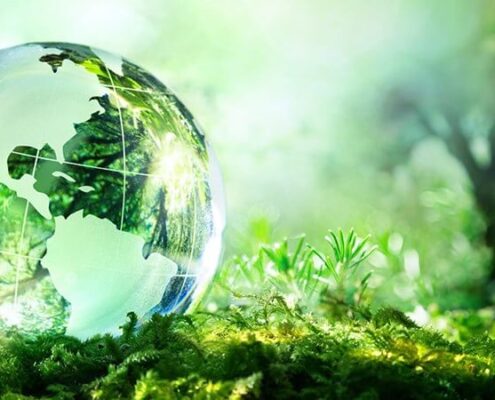 Môi trường là gì? Gây ô nhiễm môi trường bị phạt như thế nào?