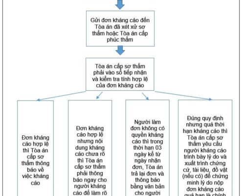 Kháng cáo là gì? Thủ tục kháng cáo bản án như thế nào?