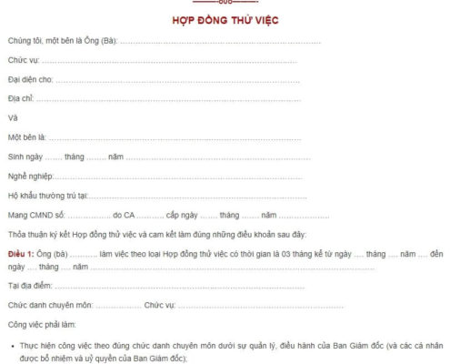 Mãu hợp đồng thử việc