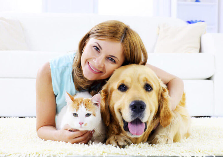 Những quy định người nuôi chó mèo cần lưu ý