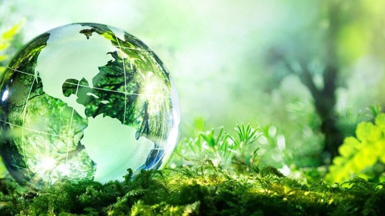 Môi trường là gì? Gây ô nhiễm môi trường bị phạt như thế nào?